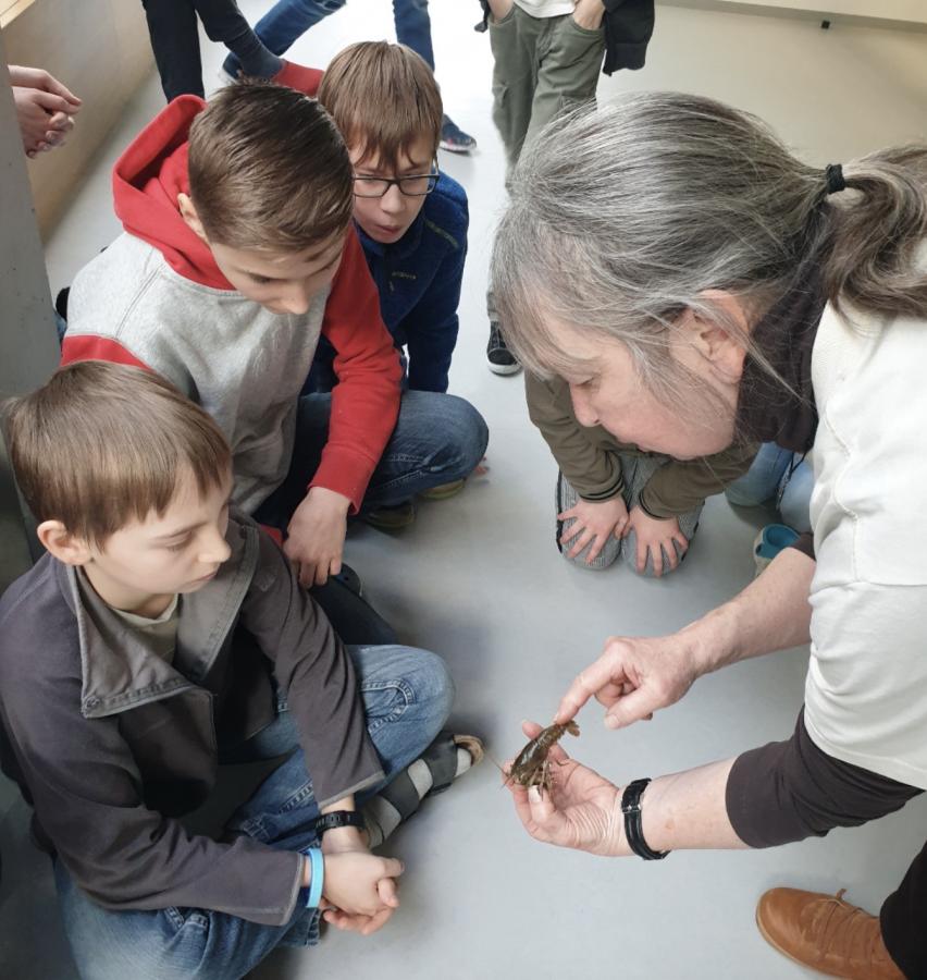 Besuch von Frau Carl zum Thema „Amphibien“ am 13.03.20