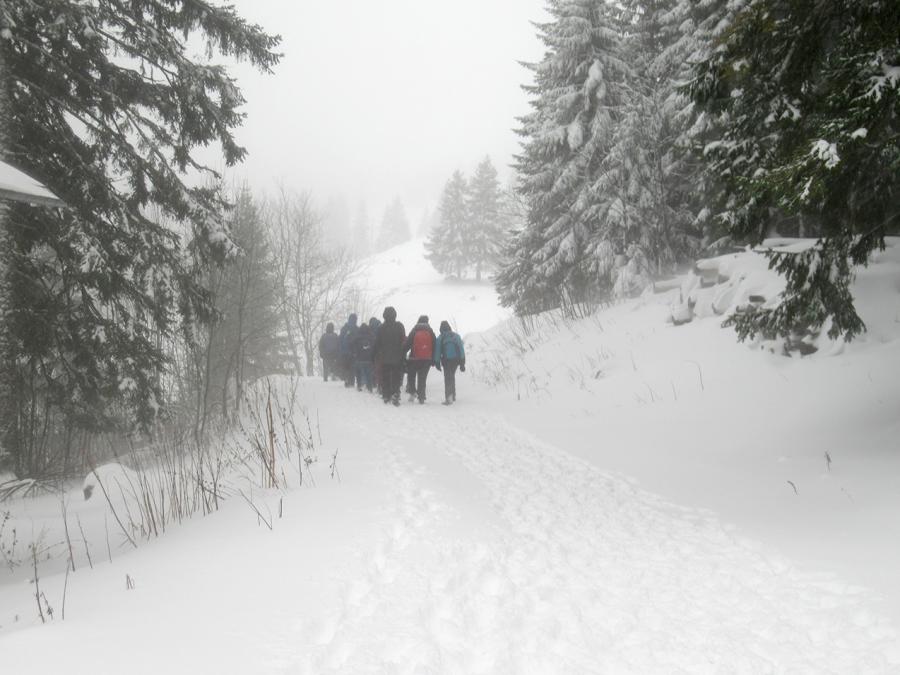 Schullandheim der Mondsteine auf dem Feldberg (5. Tag)