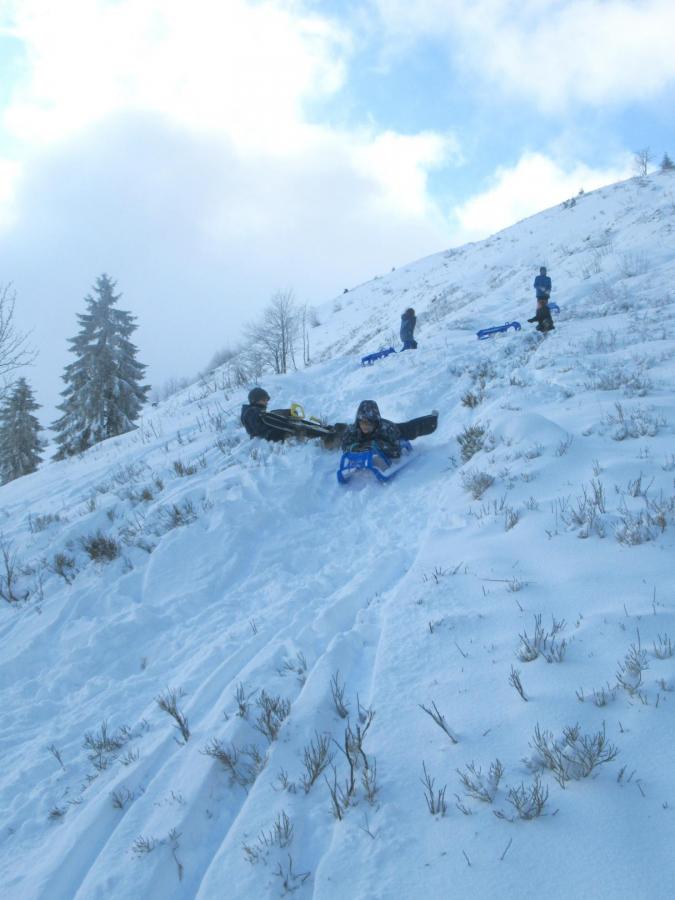 Schullandheim der Mondsteine auf dem Feldberg (2. Tag)