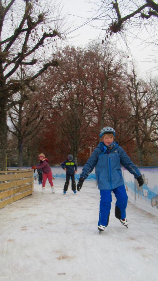 Die Mondsteine genießen die Eiszeit am Karlsruher Schloss